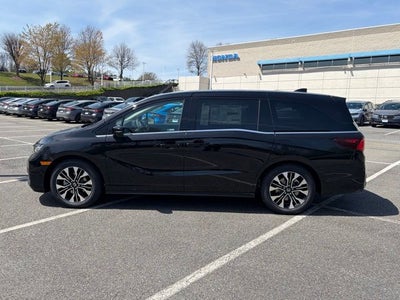 2026 Honda Odyssey Elite