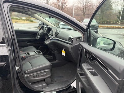 2026 Honda Odyssey Elite