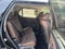 2026 Honda Pilot AWD Elite