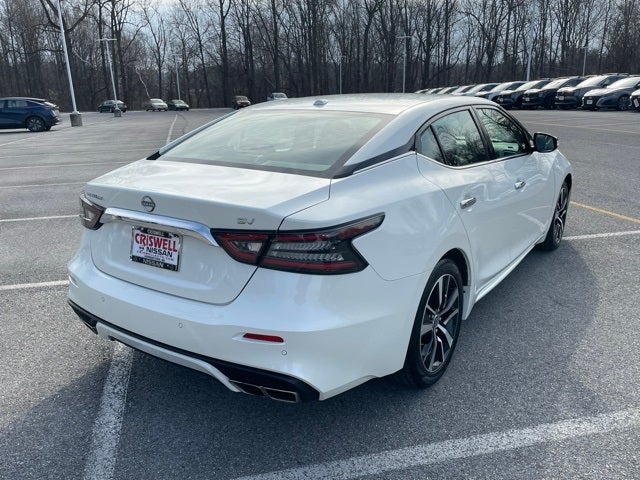 2023 Nissan Maxima SV