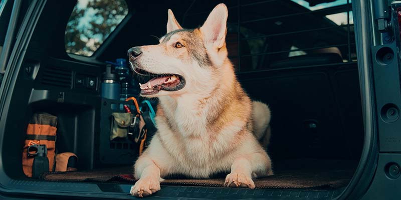 2026 Honda Passport in Germantown, MD